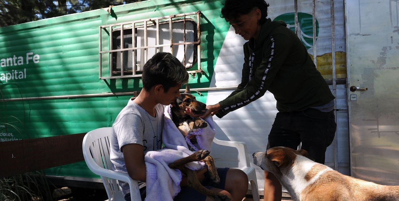 Ya se realizaron cerca de 1.000 castraciones "móviles" en la ciudad de Santa Fe 