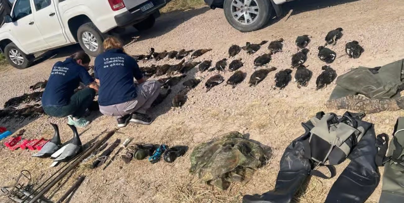 Imputaron a turistas franceses y a un guía trucho por cazar casi un centenar de patos silvestres