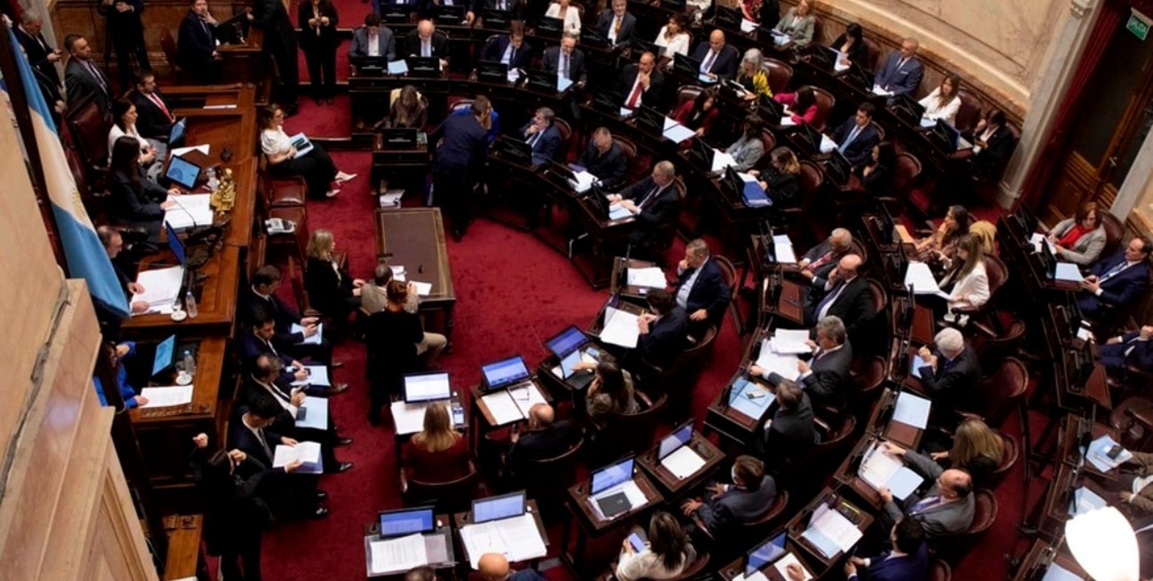 Se aprobó la Ley Bases: las principales intervenciones en el Senado
