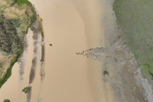 Actualmente estamos en una fase neutral, llamada ENSO-neutral, sin la presencia de El Niño ni La Niña. Crédito: Fernando Nicola