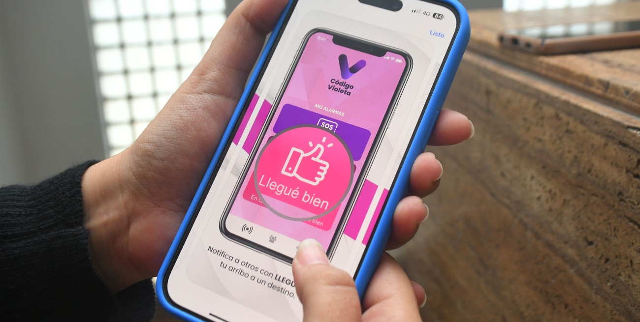 Poletti explicó cómo actúa Santa Fe ante los casos de violencia de género