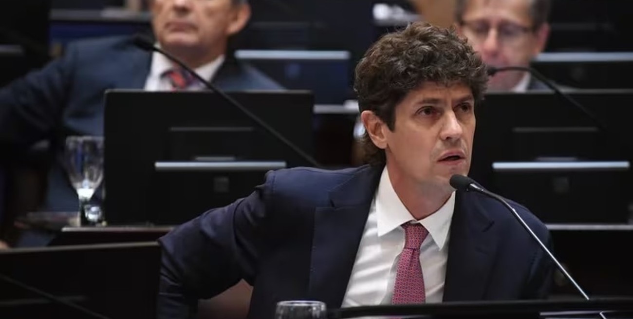 Una ley, un Senado y una oposición