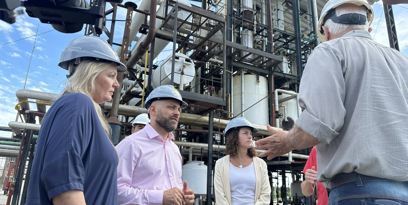 Ley de Bases: ¿por qué los cambios en el RIGI podrían favorecer a Santa Fe?