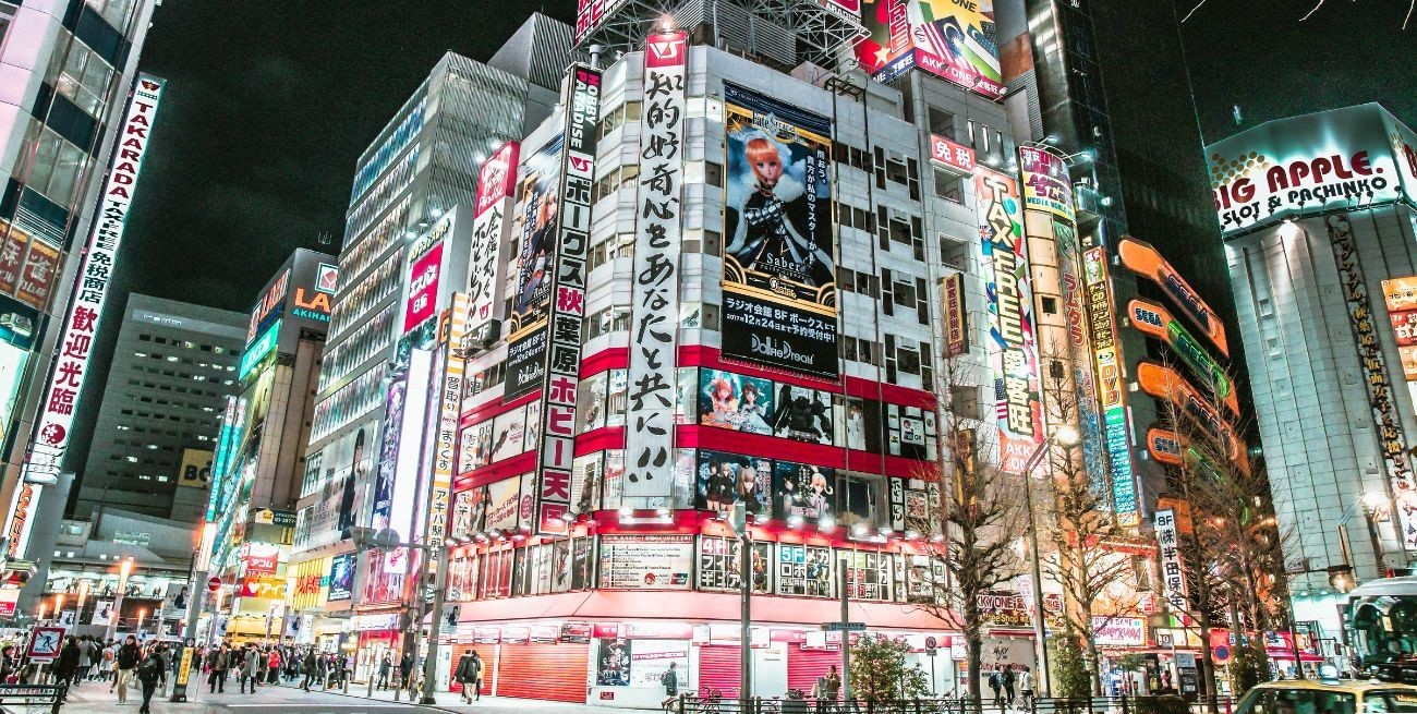 Alerta en Japón por una bacteria carnívora que puede matar en 48 horas