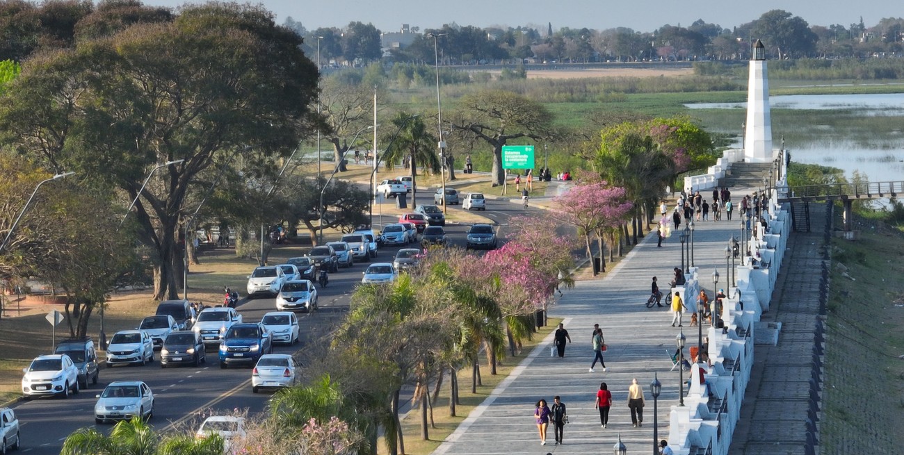 Cuáles son los beneficios de centrar la atención en la vegetación durante paseos urbanos