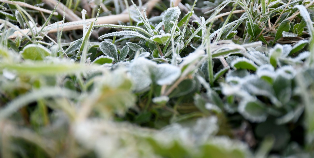 Sigue vigente el alerta rojo por frío extremo en tres provincias de Argentina