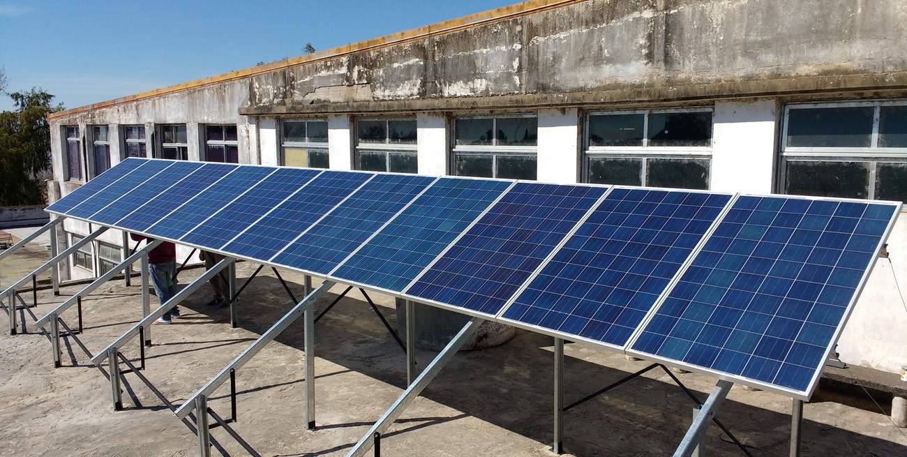 Una facultad de Santa Fe cubrió con sus paneles solares el trabajo de 267 árboles durante 10 años