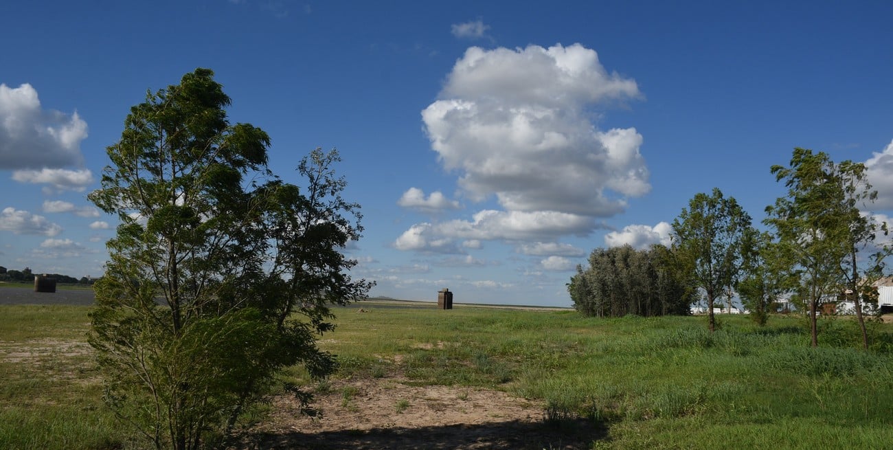 Alerta amarillo por viento en cinco provincias de Argentina
