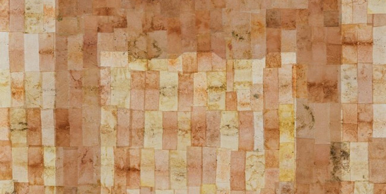 Muestra "Piel de río"