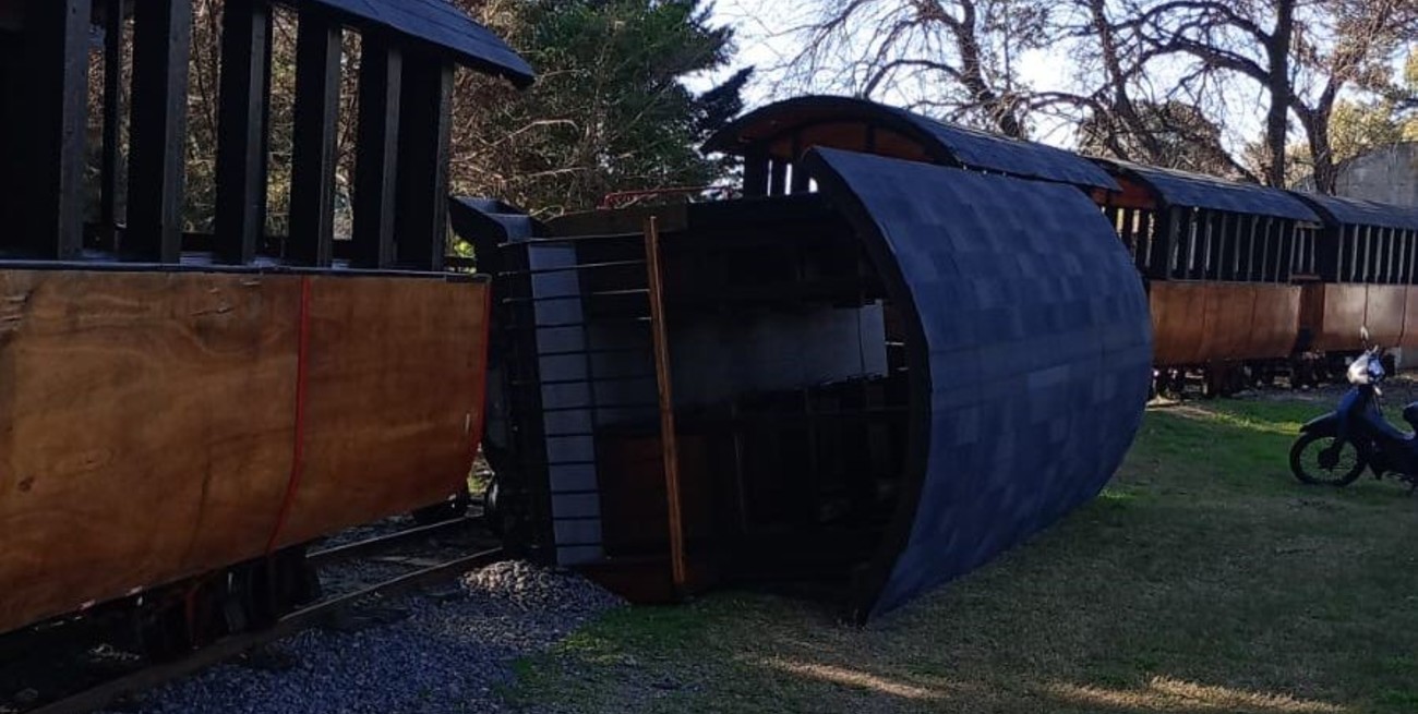 Descarriló el tren de la República de los Niños de La Plata: seis personas heridas