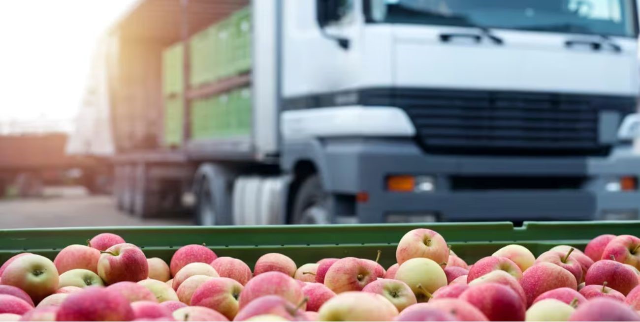 Fuerte crecimiento de exportaciones Pyme