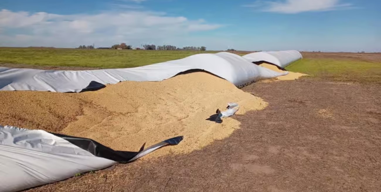 Robaron más de 20 millones de pesos en soja en un campo del sur santafesino