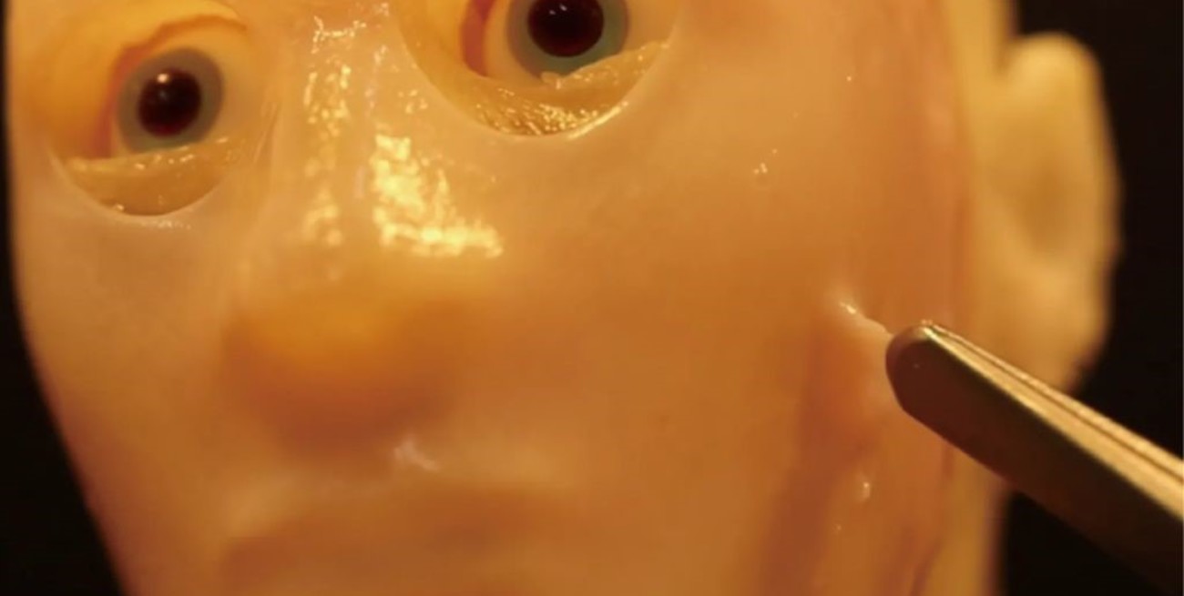 La técnica que adhiere piel a los robots para que tengan expresiones más realistas