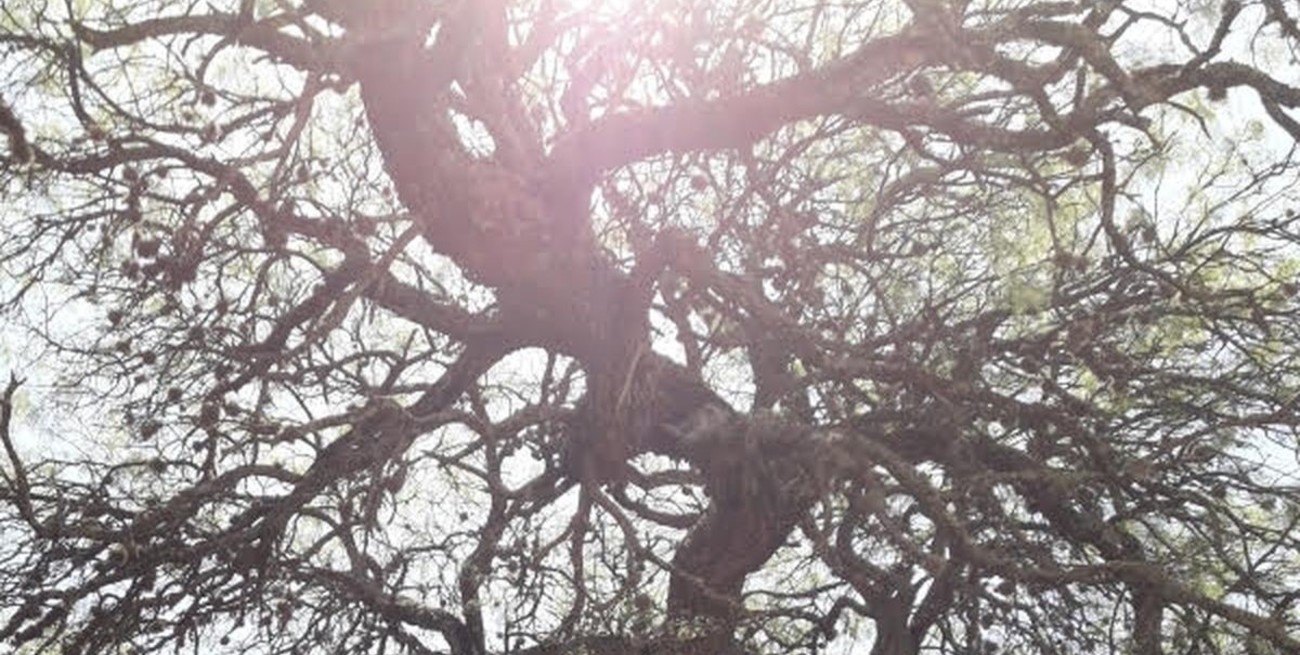 Por el terruño de los Agüero