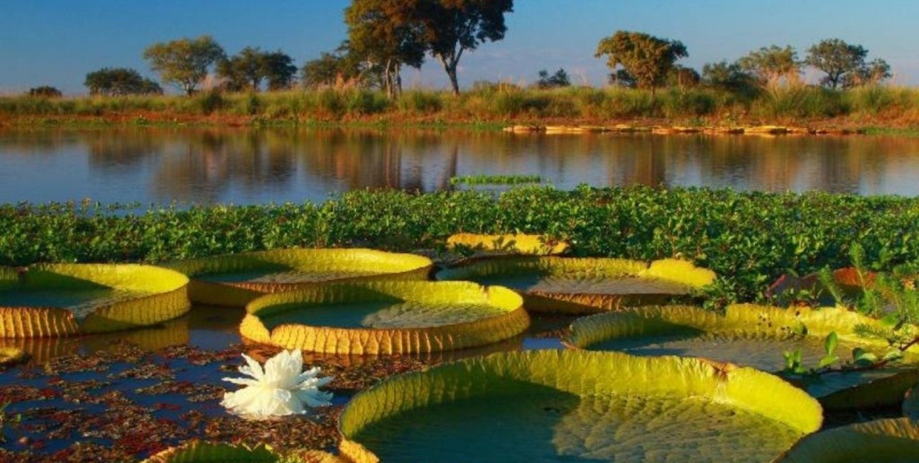 Se presentó el mapa digital con la agenda turística de la provincia de Santa Fe