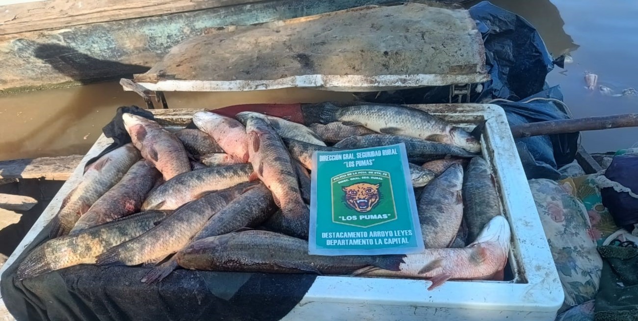Incautan centenares de pescados en diferentes operativos en la provincia de Santa Fe