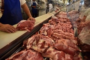 El precio de la carne lideró los aumentos de precios en febrero. El Litoral