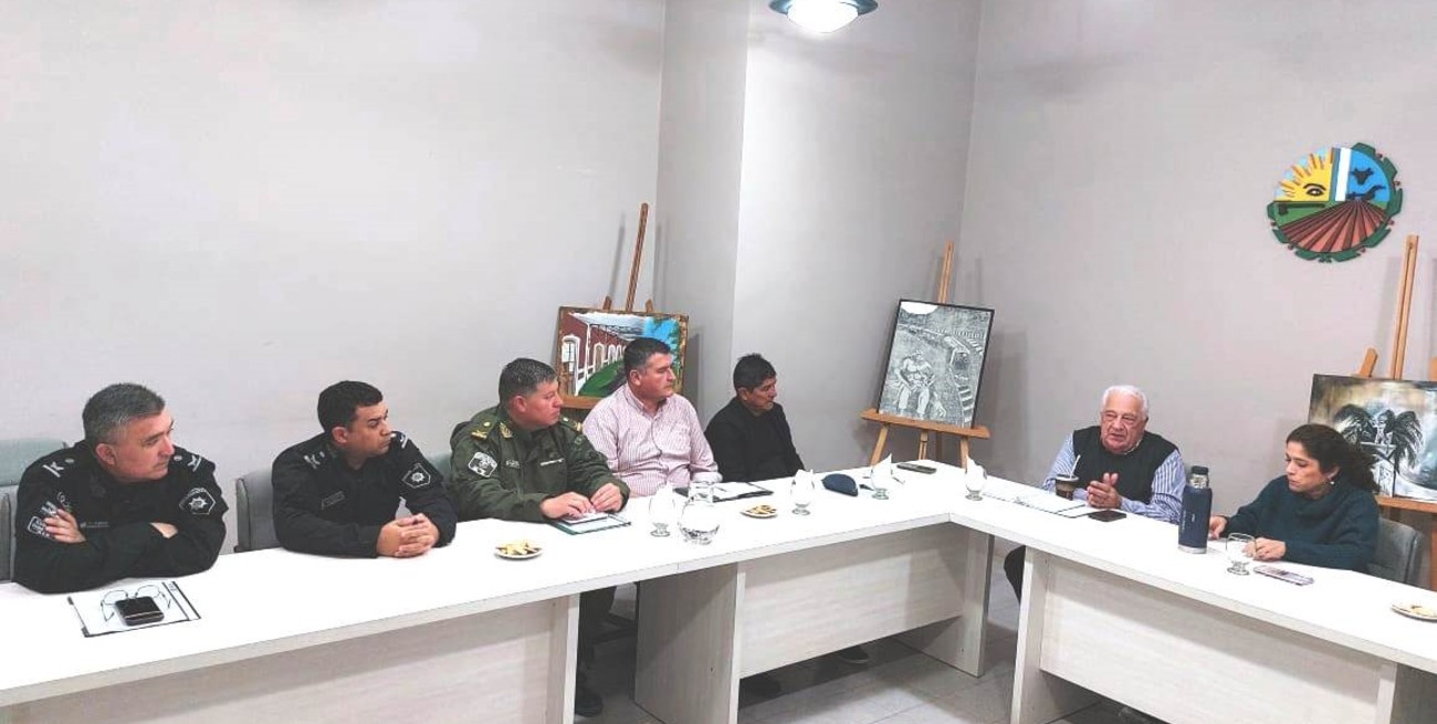 El Consejo de Seguridad se reunió en Vera