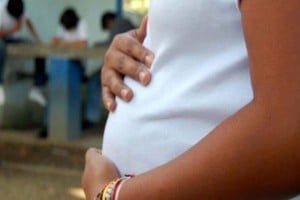 El Plan ENIA enfrentó problemas, ya que especialistas denunciaron recortes en personal y retrasos en la entrega de insumos esenciales.