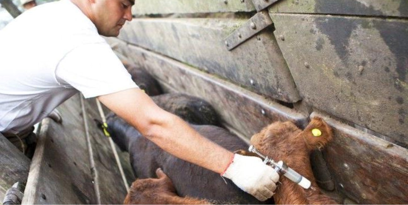 Santa Fe será sede del 13° Congreso de Entes Sanitarios 