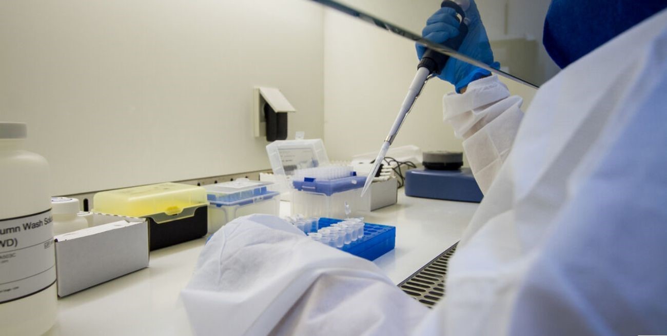 Murieron dos personas en Brasil por el virus de  Oropouche: ¿de qué se trata y cómo se transmite?