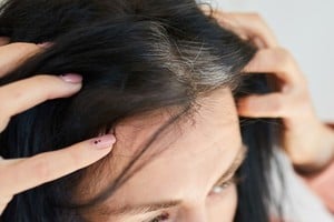 Cómo cuidar las canas y realizar la transición hacia el color natural.