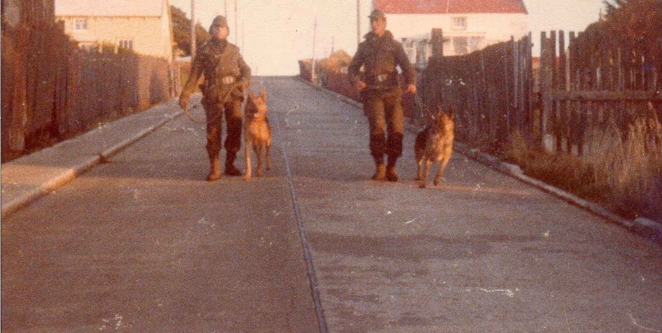 La historia de los perros de guerra en Malvinas