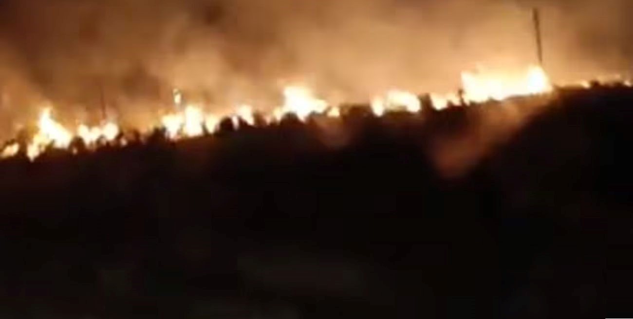 Incendios forestales en Corrientes: brigadistas intentan impedir la expansión del fuego