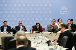 Tras la aprobación en Diputados, el proyecto pasa al Senado para su tratamiento. Foto: Prensa Diputados