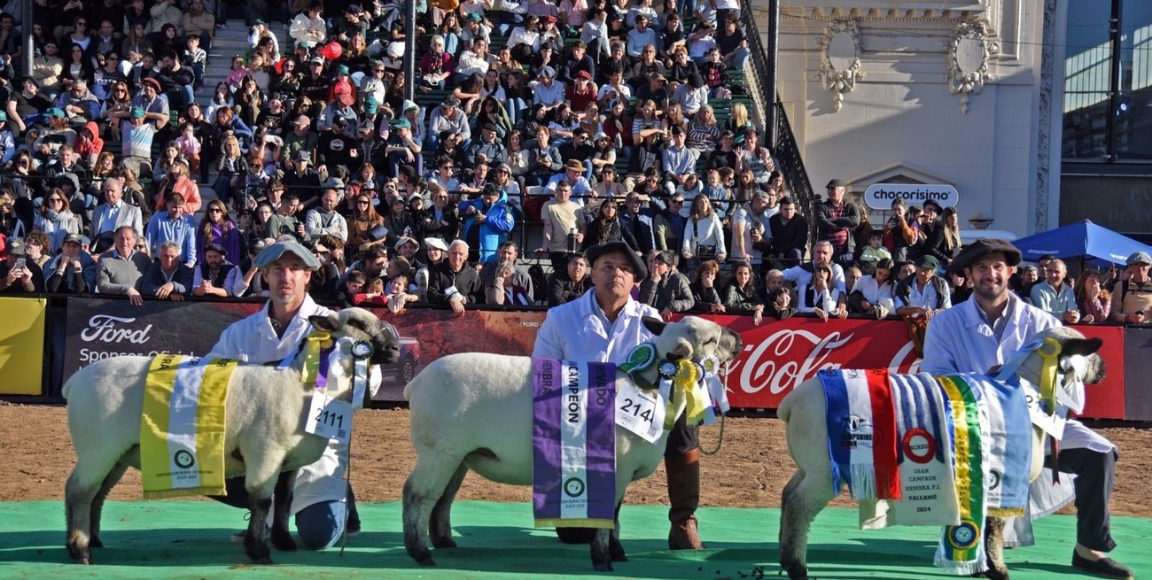 Criadores de ovejas sin lana y con carne gourmet tuvieron su lugar en la expo de Palermo