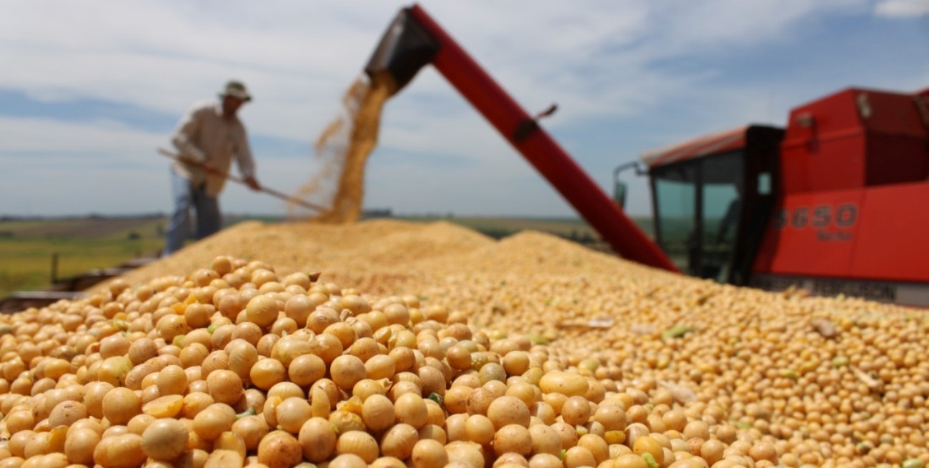 Nación eliminó derechos de exportación en productos agroindustriales