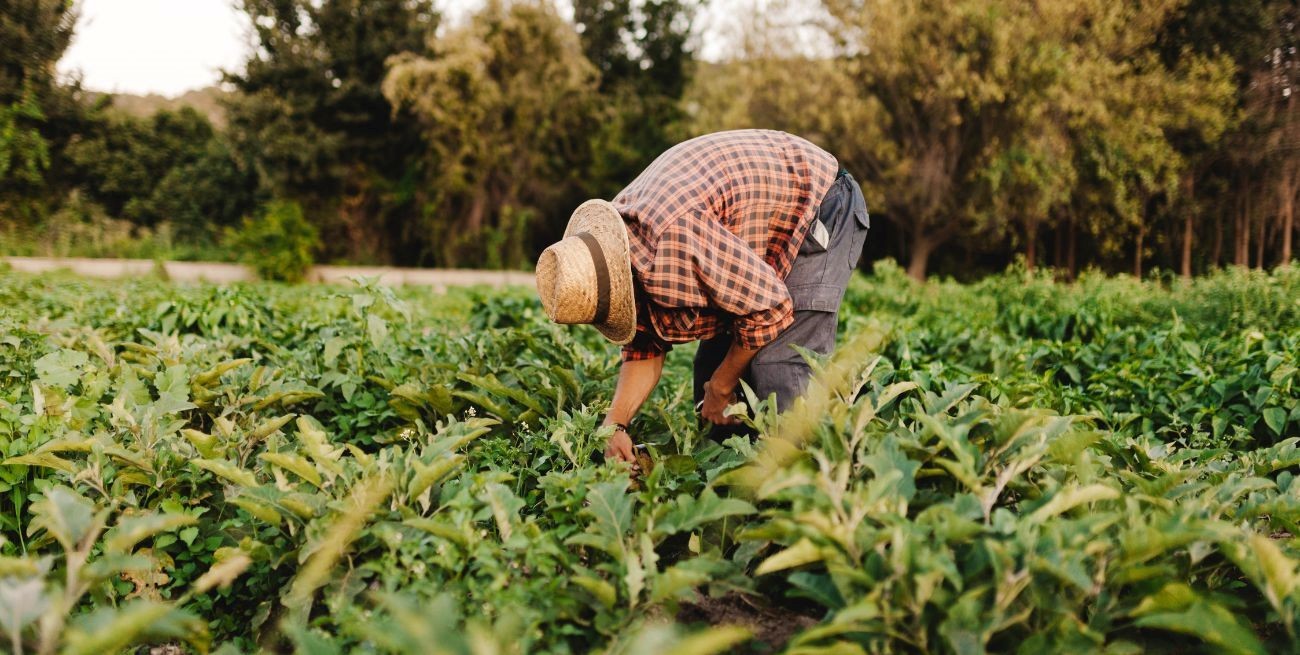 Primer fallo de despido sin multas para el empleador bajo la reforma laboral