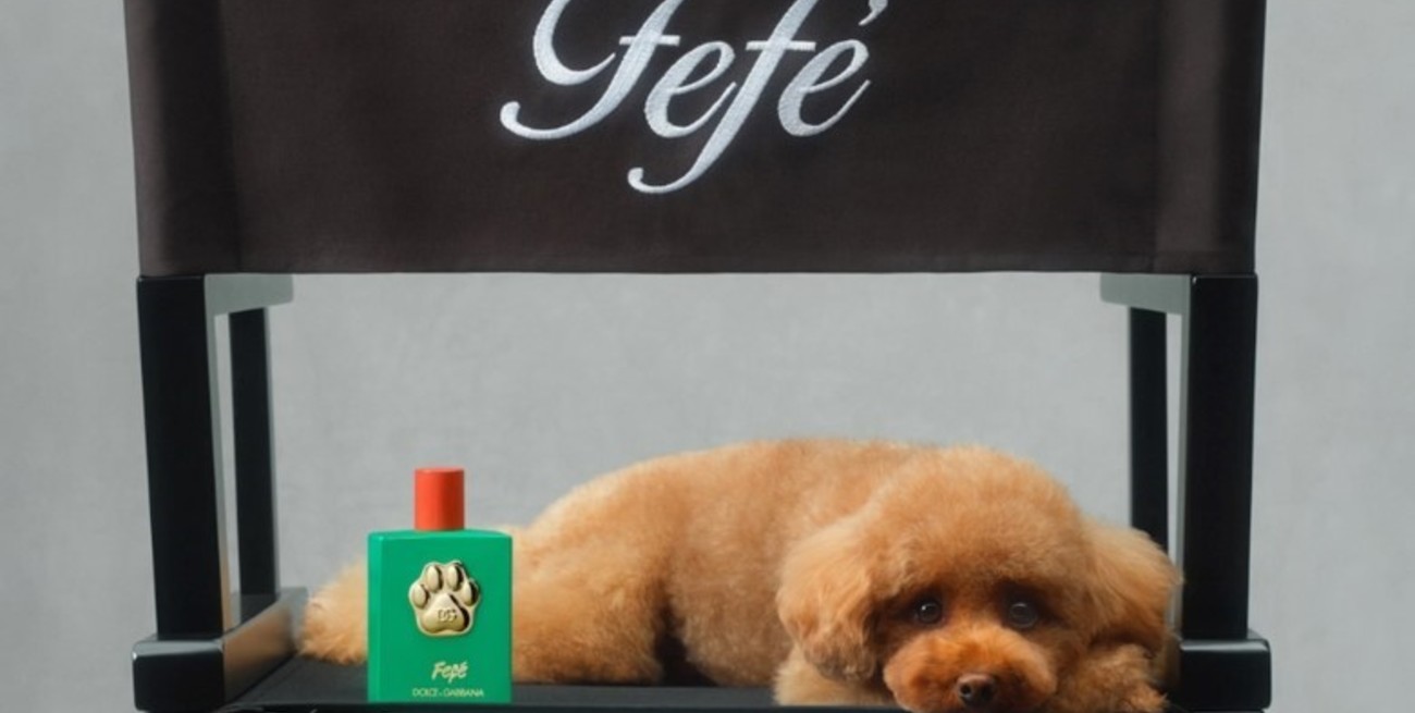 Fefé: el perfume de lujo para perros de Dolce & Gabbana