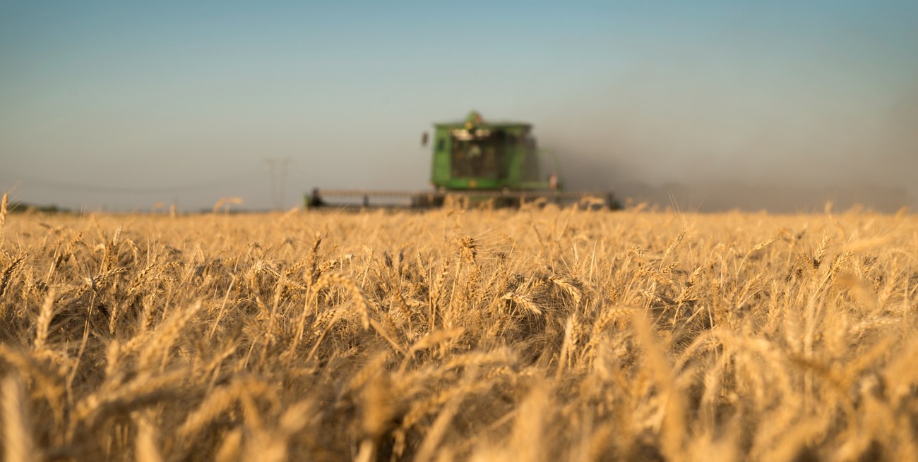 El Gobierno extiende la baja de retenciones para trigo y cebada hasta marzo de 2026