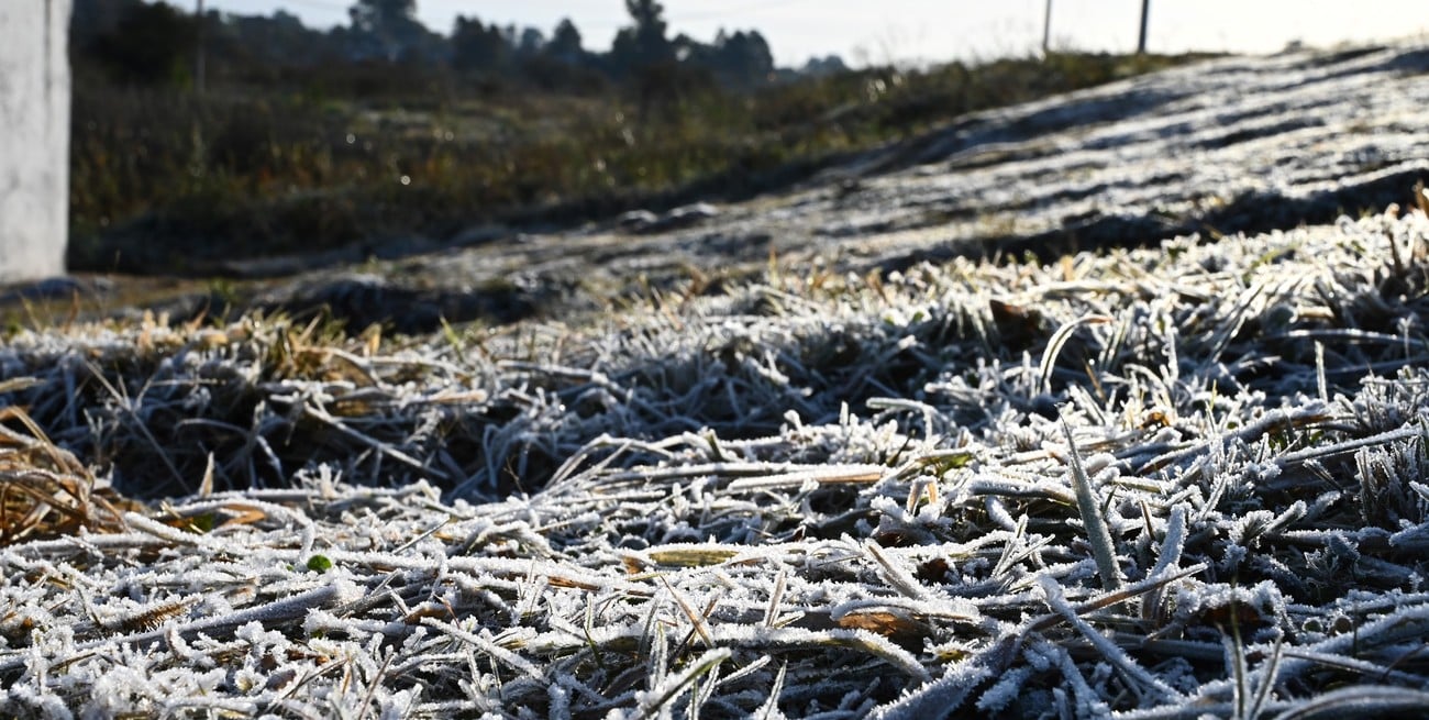 Alerta por frío extremo en Entre Ríos y otras cuatro provincias de Argentina