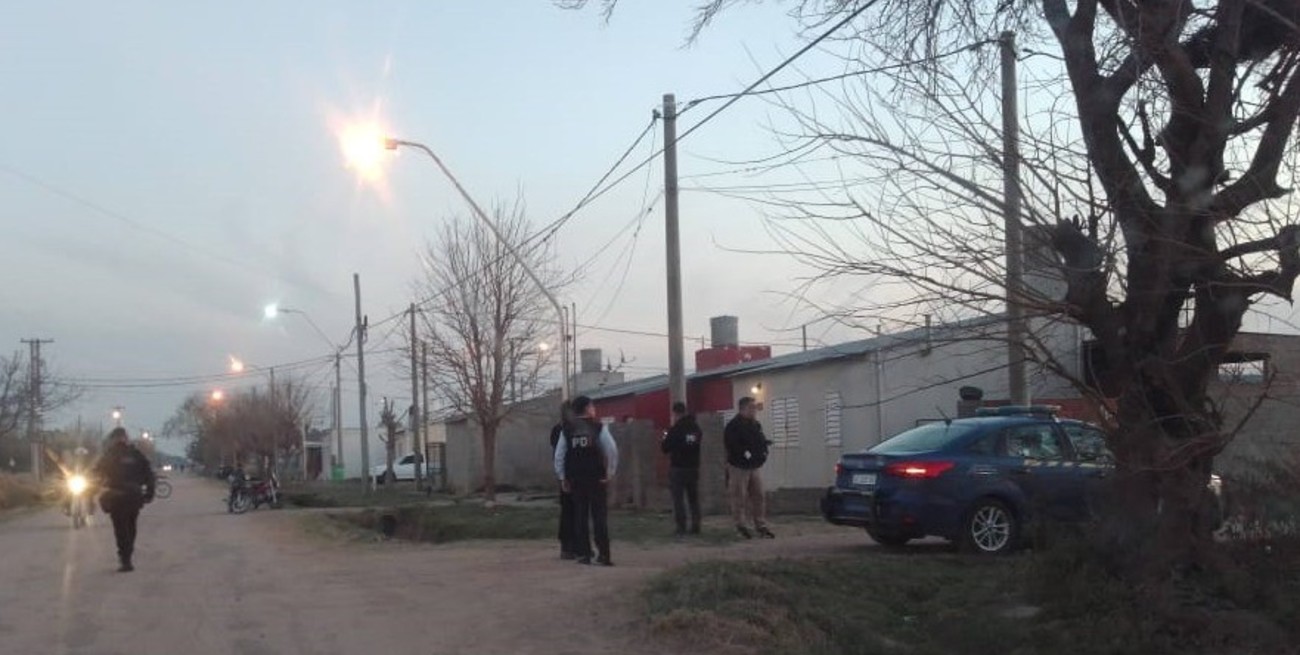 Coronda: perros llevaban un bulto entre sus dientes y era un feto incinerado