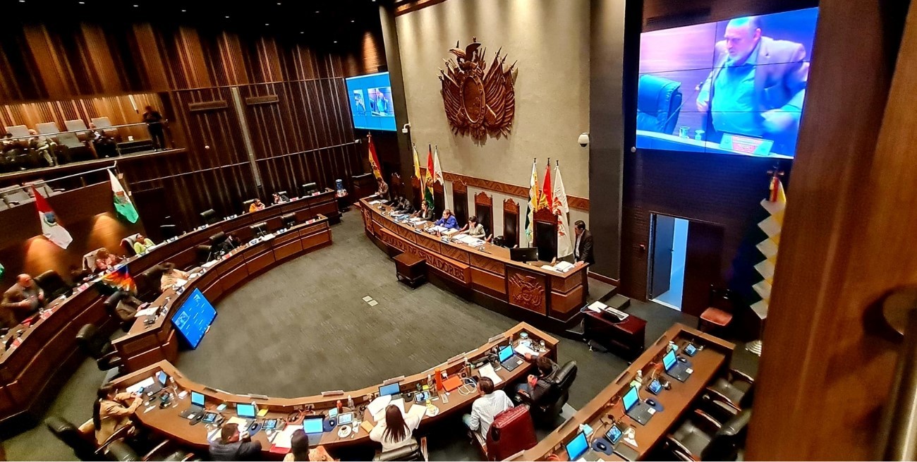 Bolivia suspendió las elecciones legislativas y hay enojo en el espacio de Evo Morales