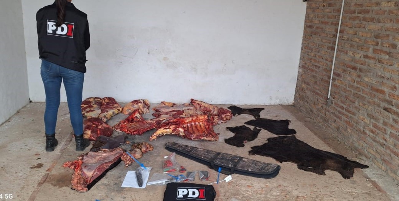 Detuvieron a violentos cuatreros en Los Zapallos