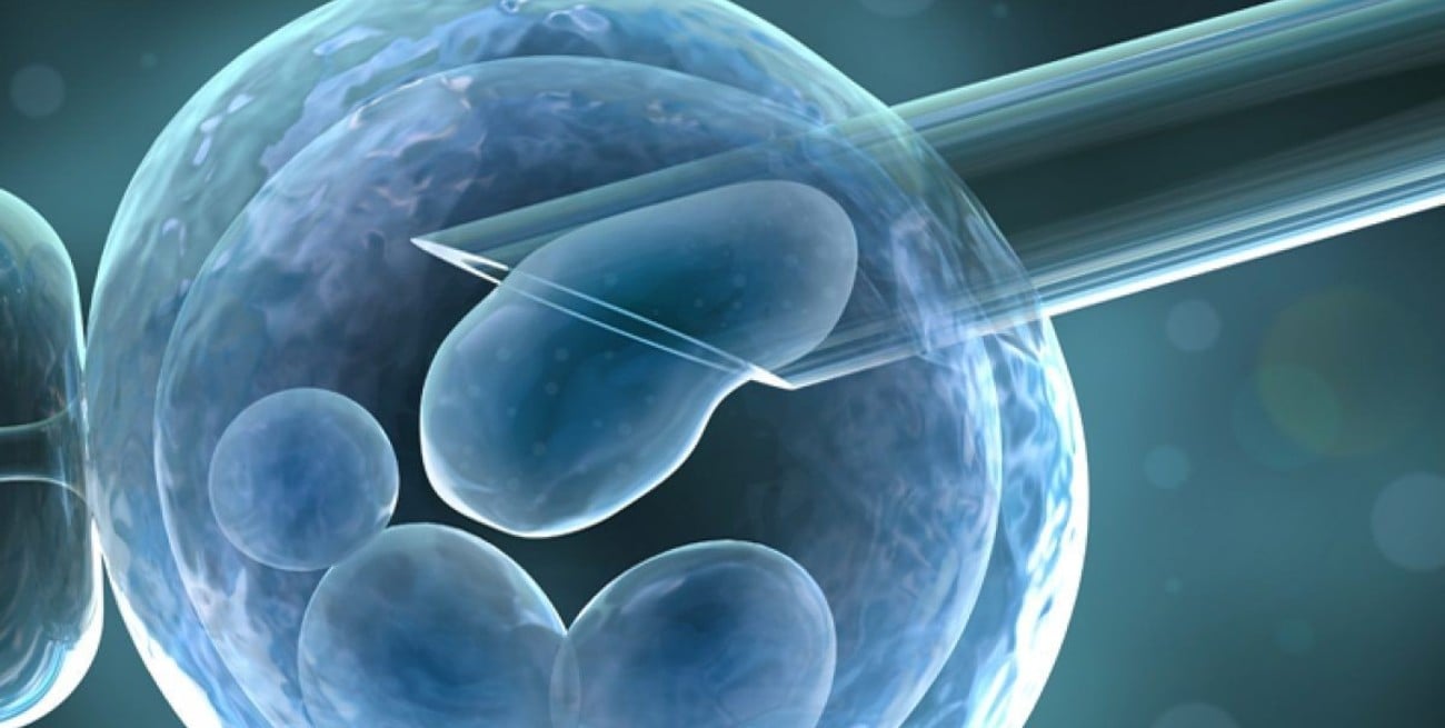 La Corte Suprema negó a una mujer la posibilidad de quedar embarazada de su marido fallecido