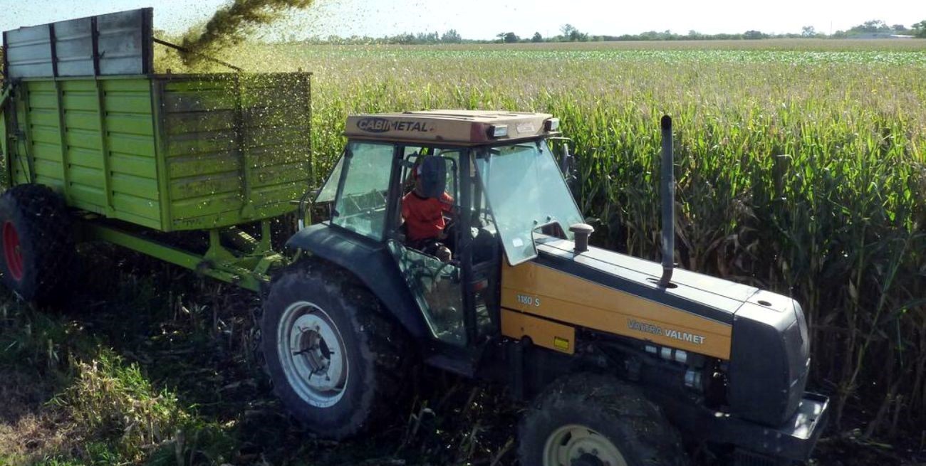 Ensiladores de Santa Fe prevén cuello de botella en enero 2025