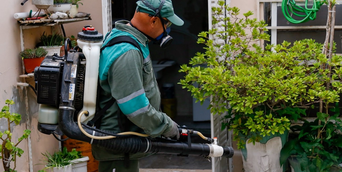Lucha contra el dengue: habrá jornadas de concientización y descacharrado