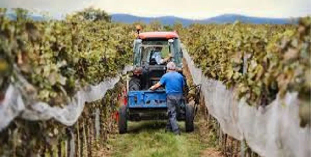 España se enfrenta al drama de pueblos "en riesgo de extinción"