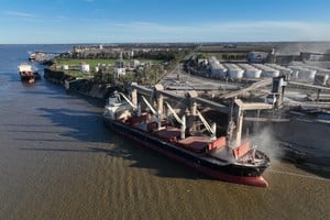 Las aceiteras del sur santafesino, con una enorme capacidad ociosa.   Créditos: Fernando Nicola