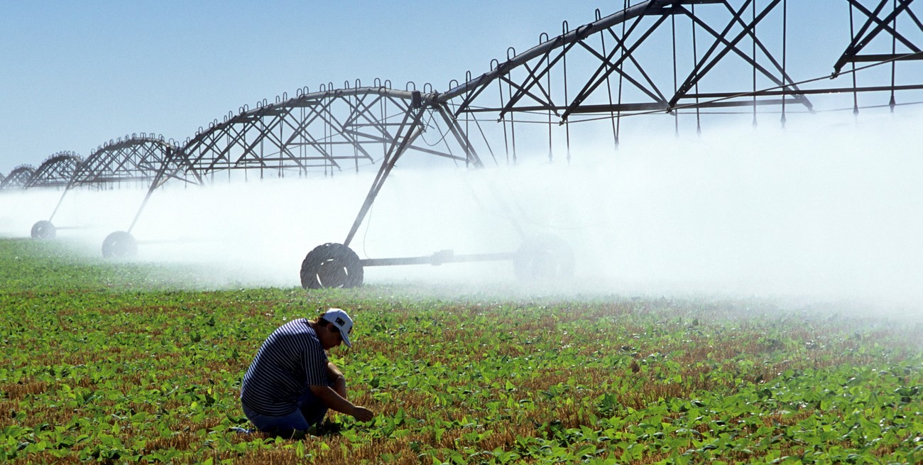 Las Jornadas de Riego Artificial en la Estación Experimental del Inta Manfredi