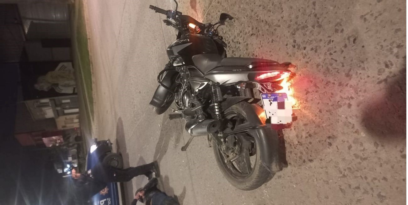 Chocó a un perro y terminó en el hospital