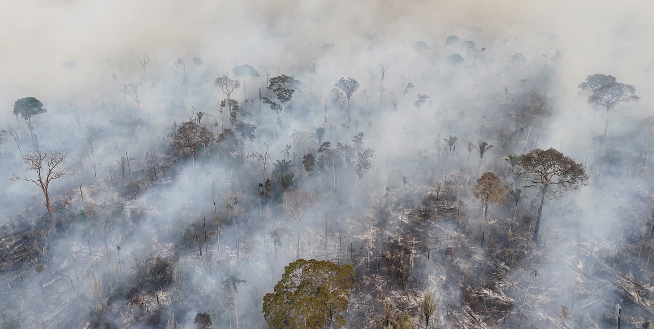 Alerta del SMN: el humo de los incendios en el Amazonas podría llegar a Santa Fe y otras nueve provincias