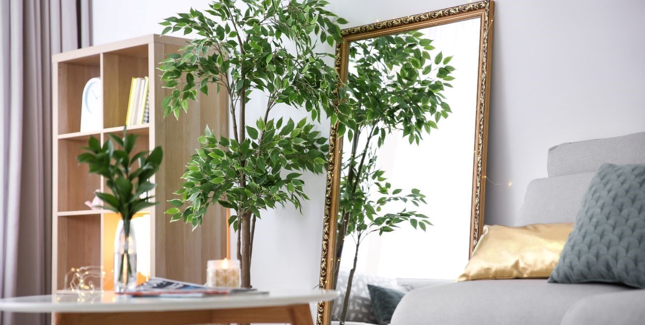 Cómo usar espejos según el Feng Shui para equilibrar la energía en tu hogar