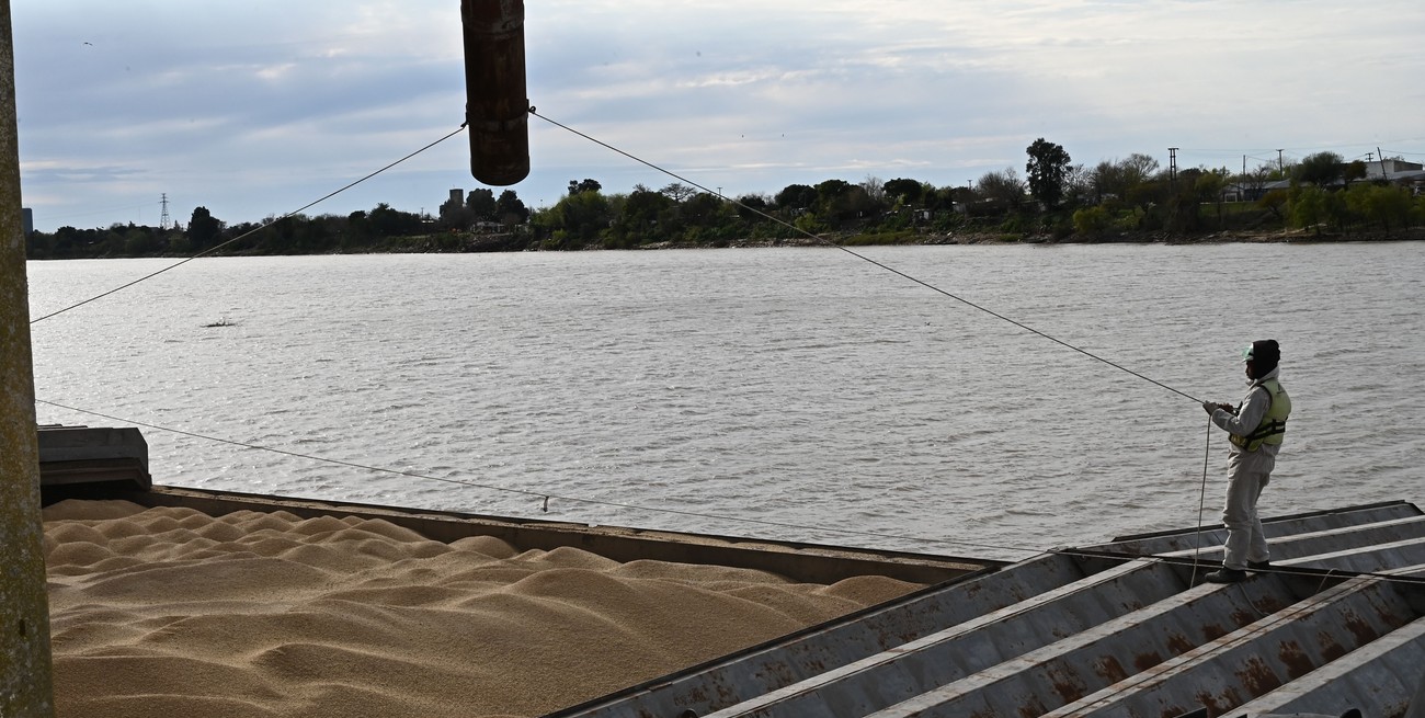 Por el complejo agroindustrial el volumen de las exportaciones santafesinas aumentó el 44,5 %