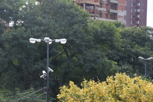 Estiman que hay más de 35 mil luminarias en toda la ciudad de Santa Fe. Crédito: Luis Cetraro