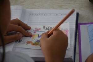 Desde la cartera educativa indicaron que "la prioridad son los procesos individuales". Crédito: Flavio Raina